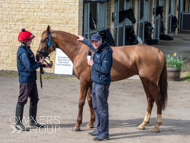 BP200326-57 - It's Hard To Know